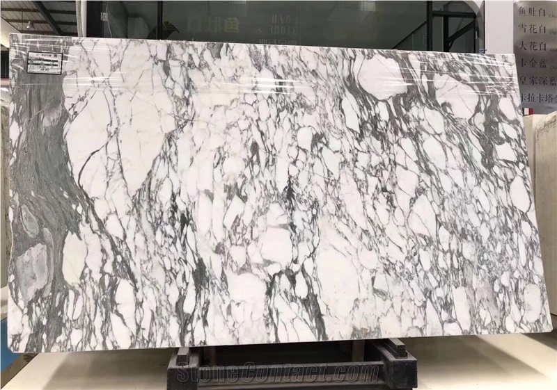 white marble floor dolomite slab arabescato wall tile